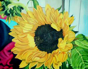 Sunflower